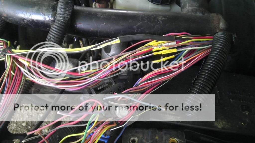 IMAG1028_zps09f505db.jpg