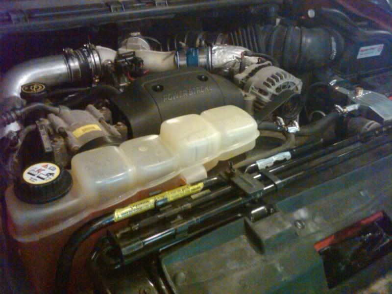 IMG00704-20110326-0030.jpg