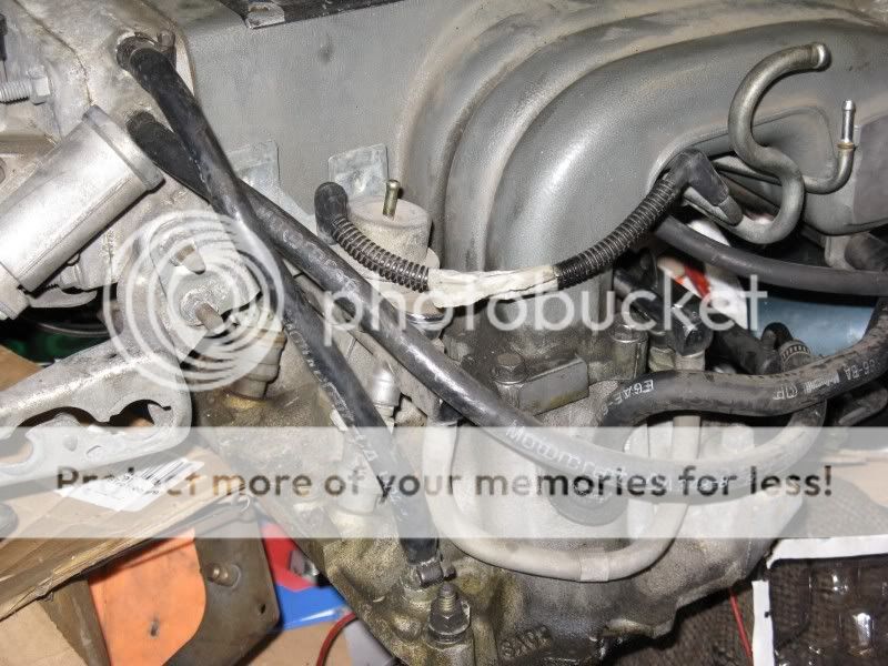 Throw me a flippin' bone here!