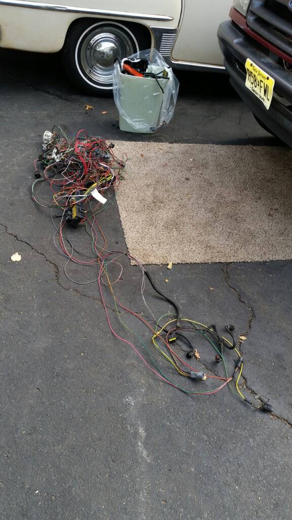 6bac07f2605cd4fbb2c0e7470039b7a7.jpg