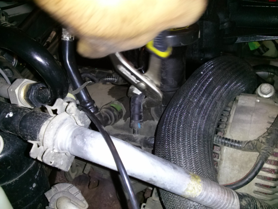 4LV6CologneInstall-58.jpg