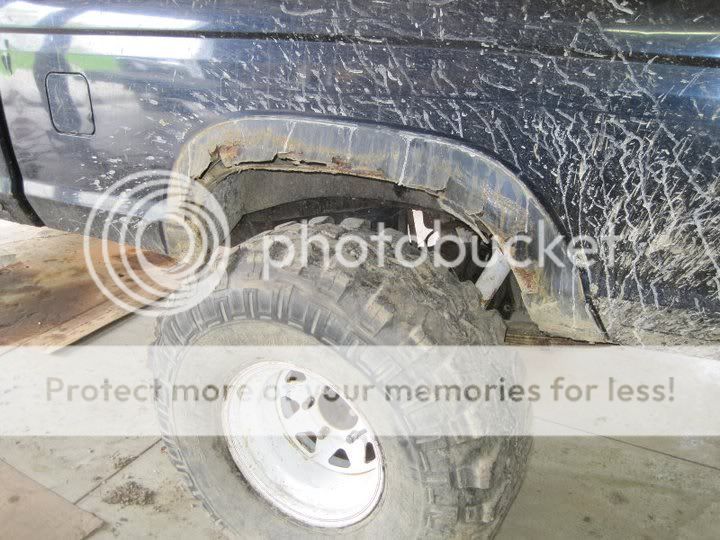 Fender2.jpg