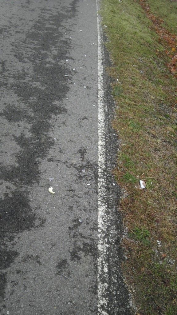 IMAG0568.jpg