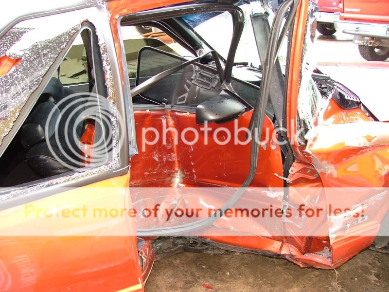 mustang044.jpg