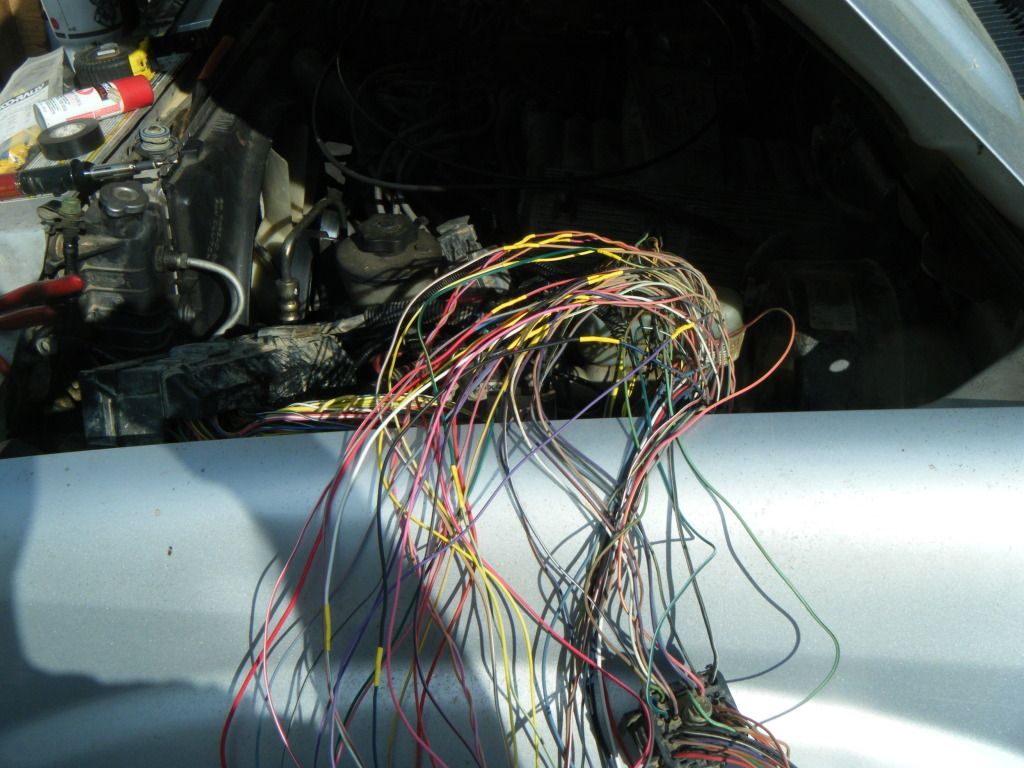 DSCF5626.jpg