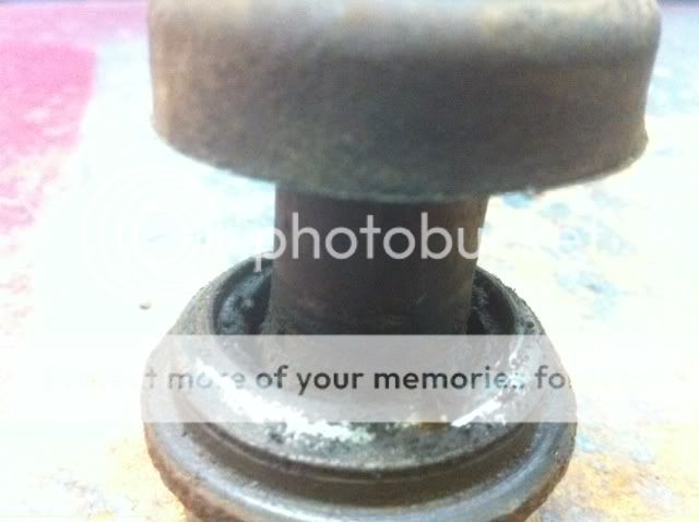 photo2-6.jpg