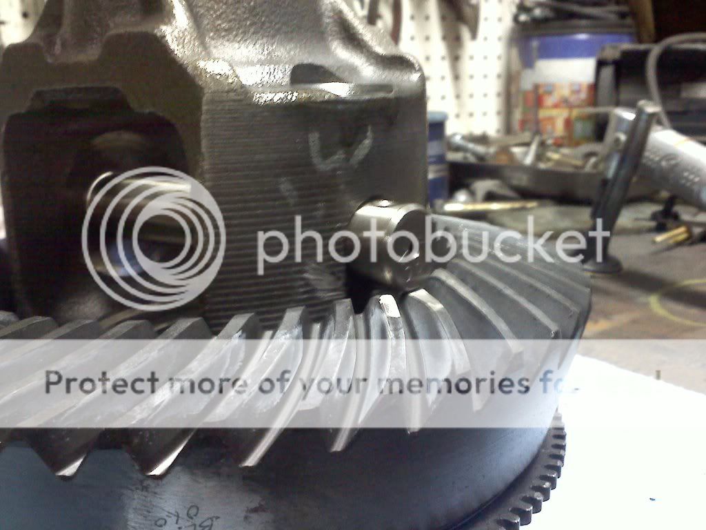 20110429203851.jpg