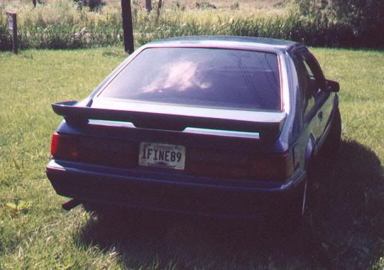 1FINE89.jpg