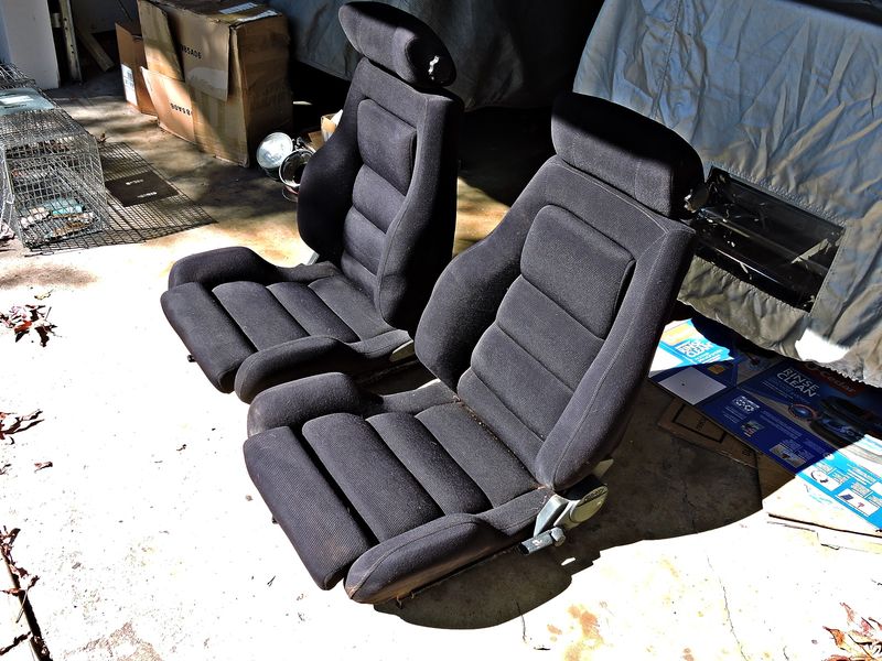 Flo_Fit_Seats_41644154392.JPG
