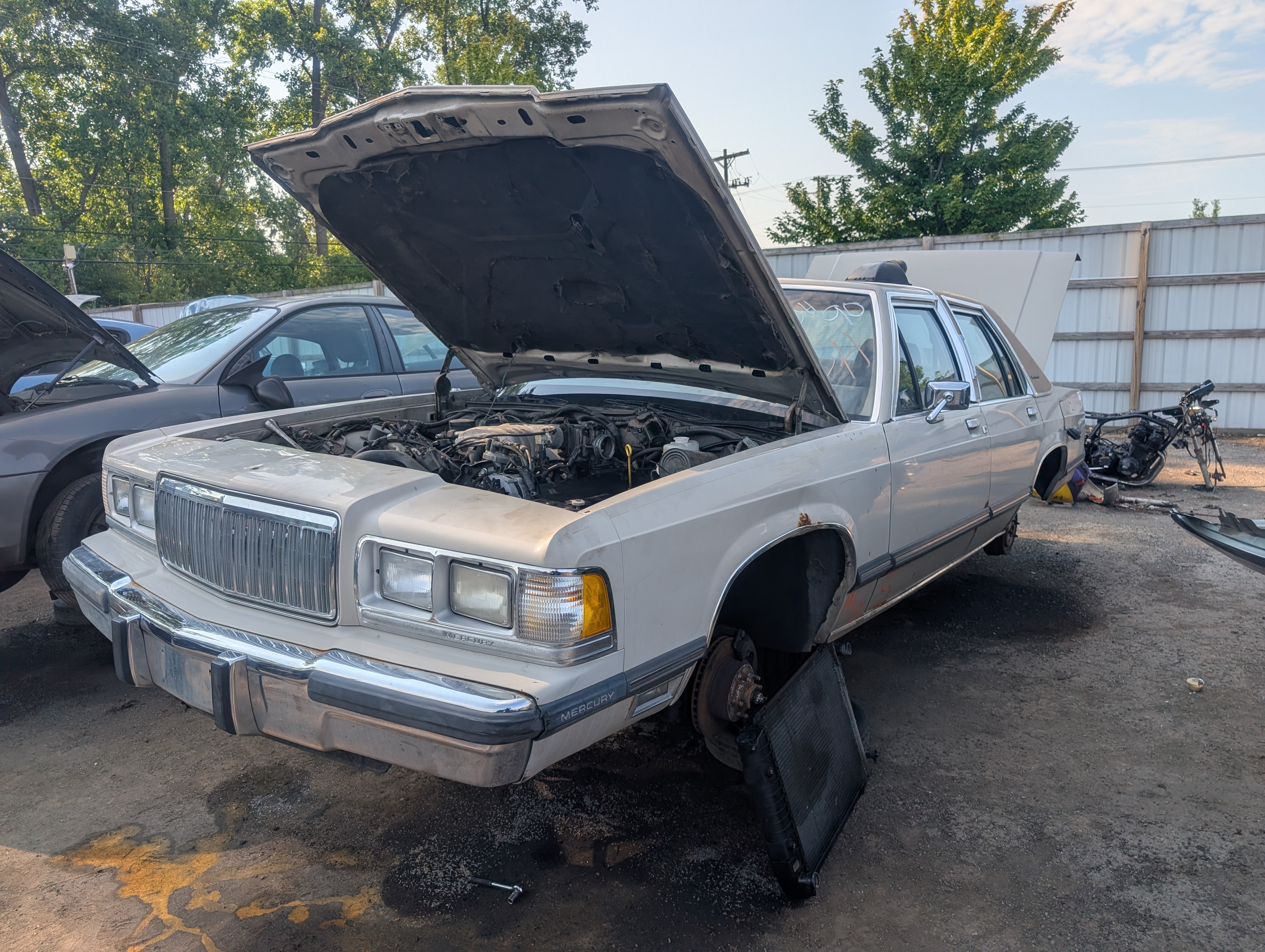 Detroit-area Junkyard Rangers - extremely pic-heavy