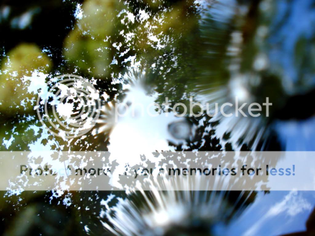 DSC01785.jpg
