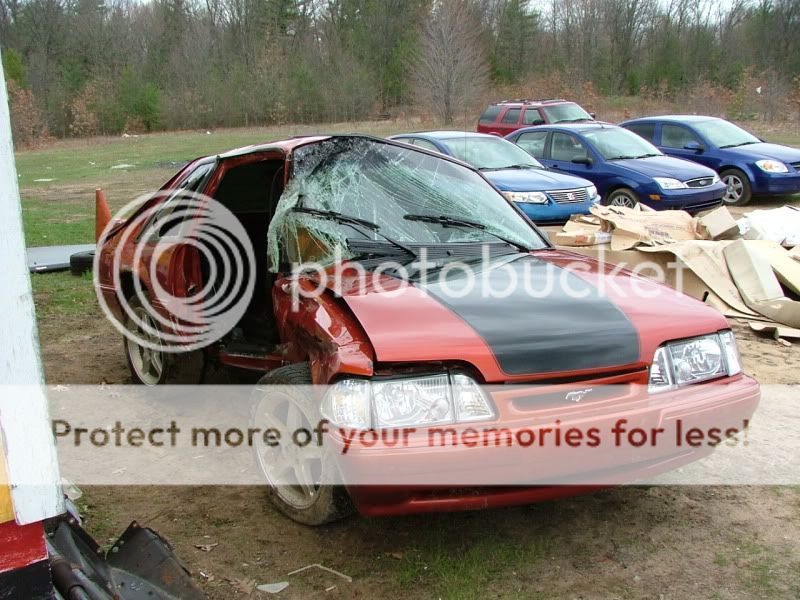 mustang045.jpg