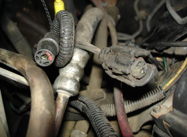 32wire.jpg