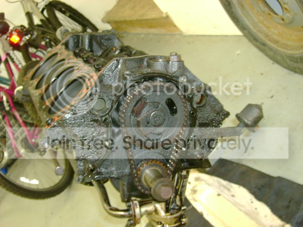 In like a lamb out like a lion!