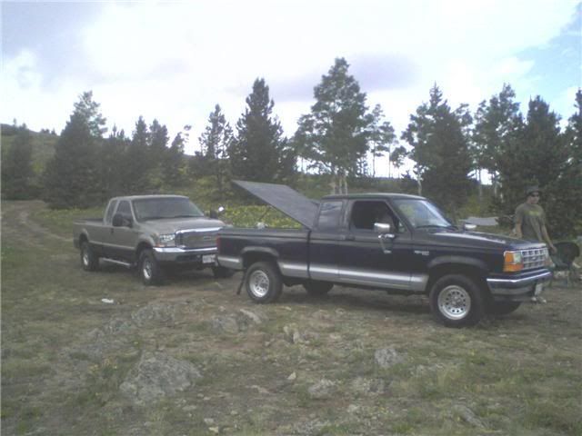 96.jpg