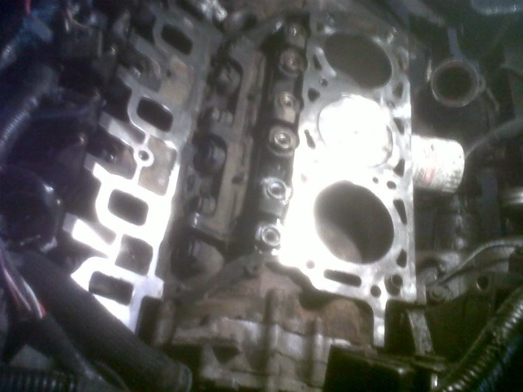 IMG-20111230-00087.jpg