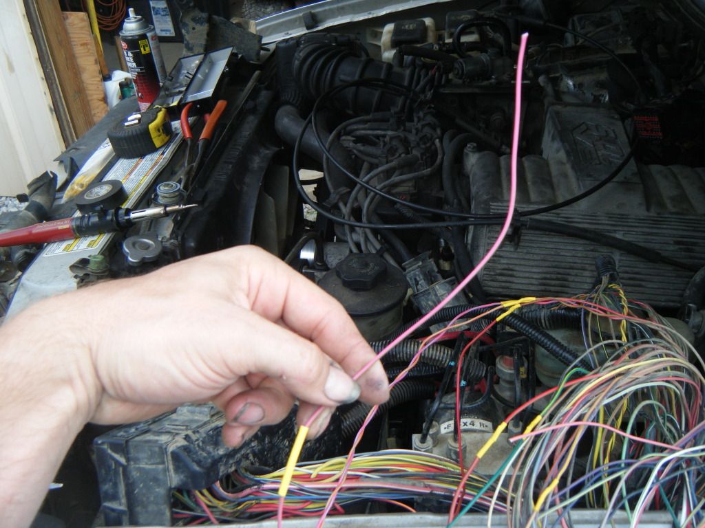 DSCF5621.jpg