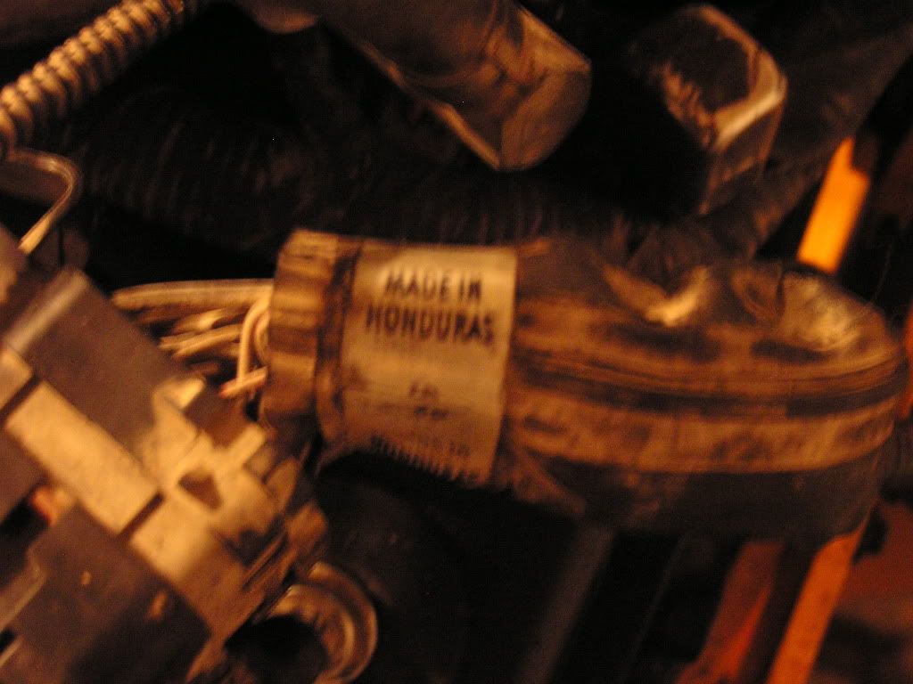 P1010099.jpg