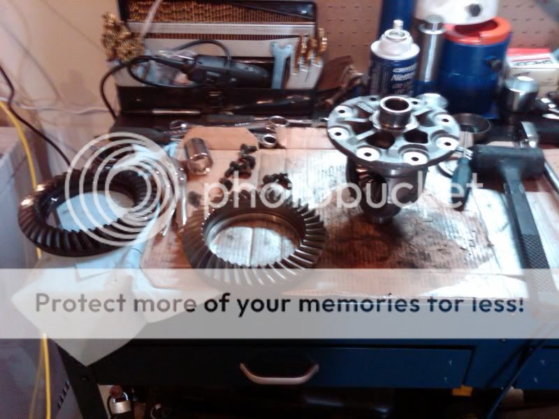 IMG00124-20100227-1426-1.jpg