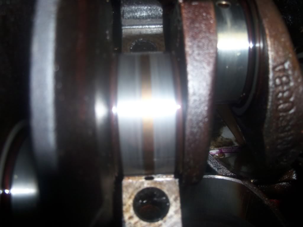 100_2050.jpg