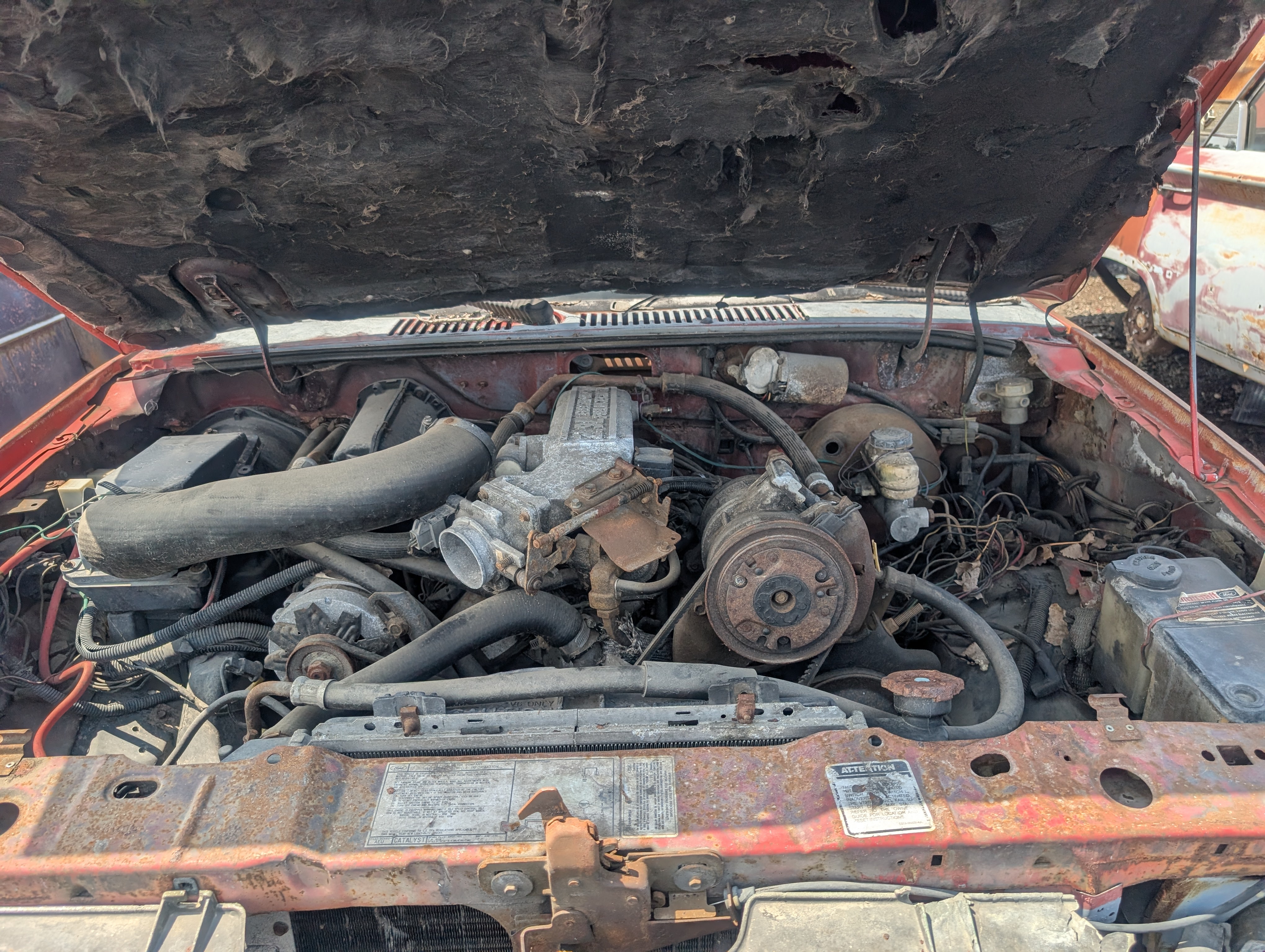 Detroit-area Junkyard Rangers - extremely pic-heavy