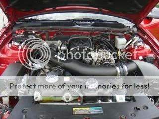 roush3.jpg