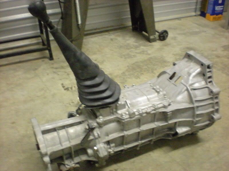 TF003-1.jpg