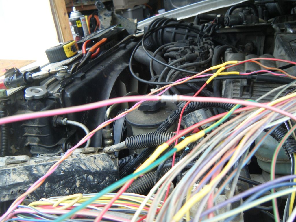 DSCF5624.jpg