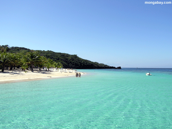 roatan_beach_36.gif