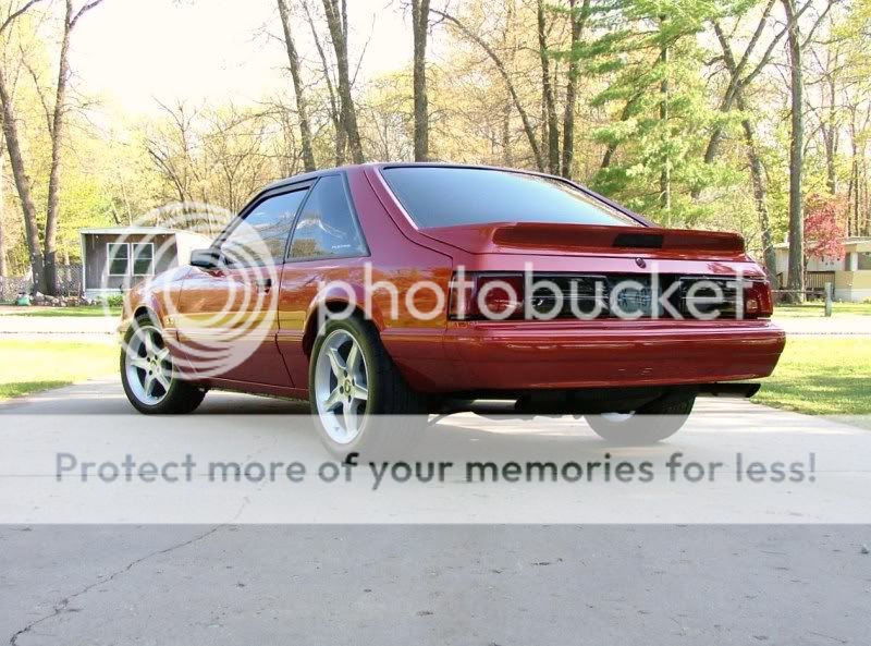 stangpictures022.jpg