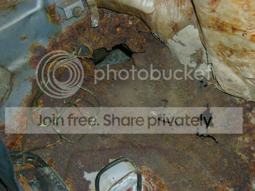 In like a lamb out like a lion!