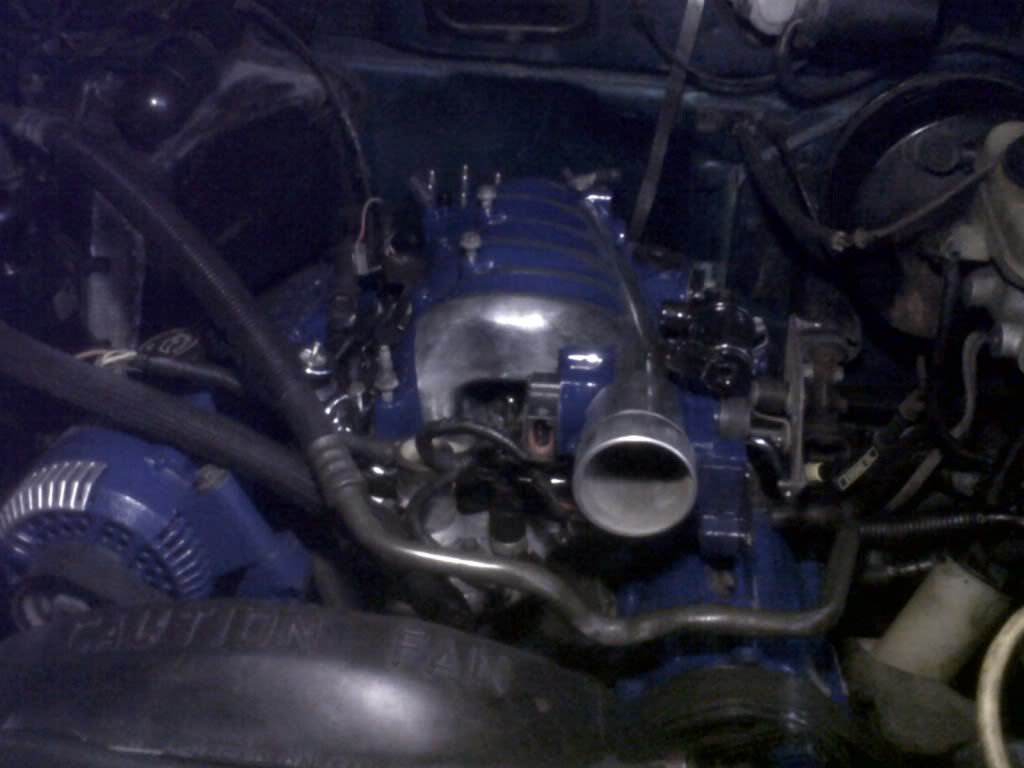 IMG-20120103-00137.jpg