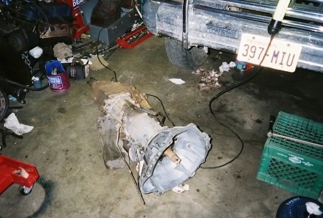V8bellonC5.jpg