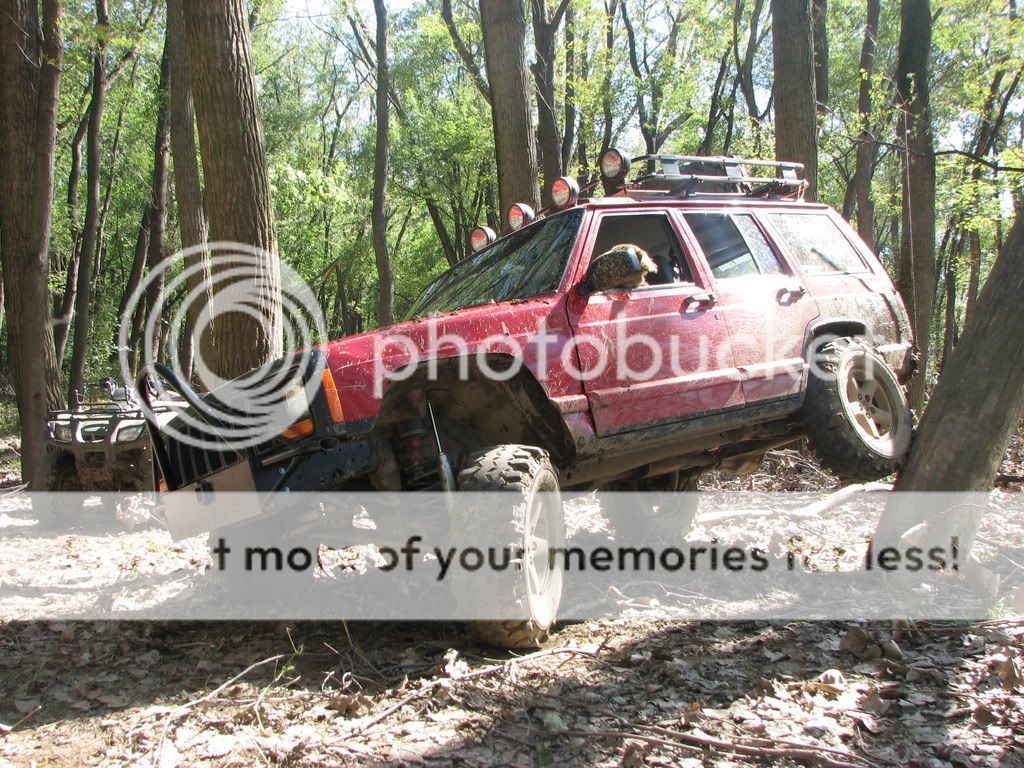 IMG_1681.jpg