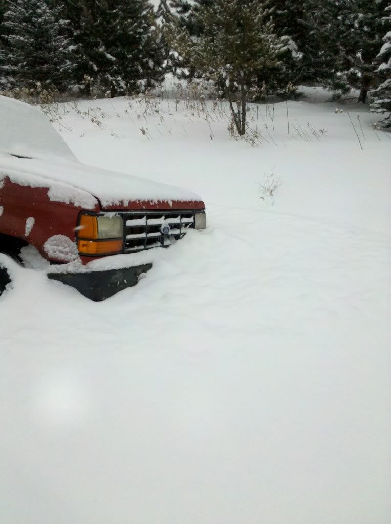 IMG_20110114_124726.jpg