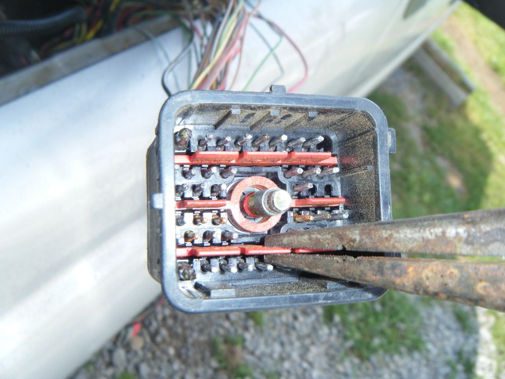 DSCF5611.jpg