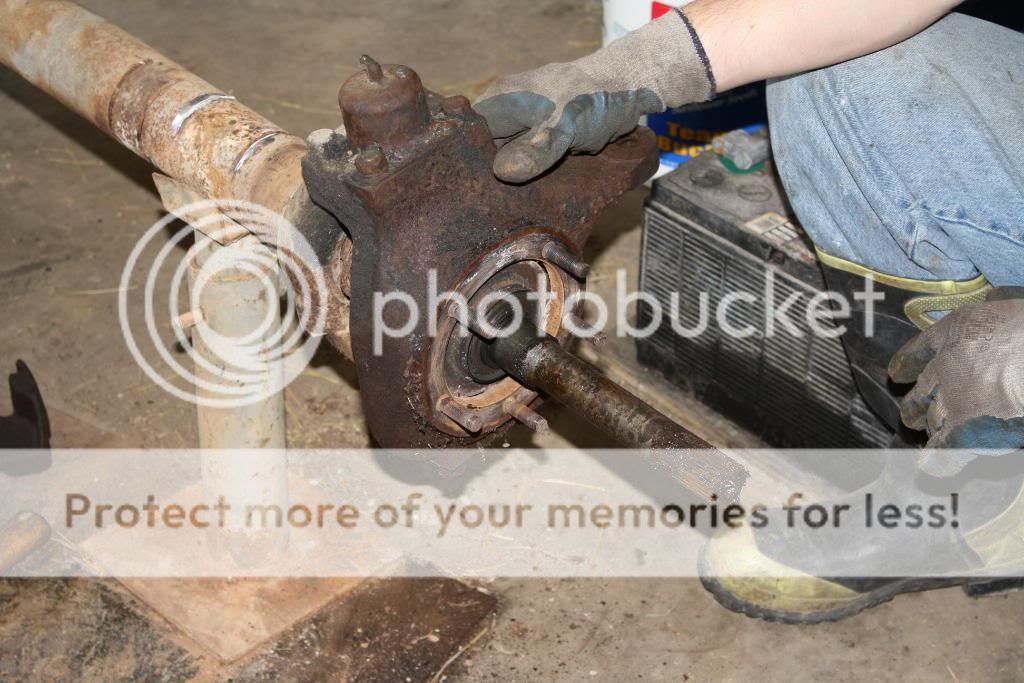 IMG_4655.jpg