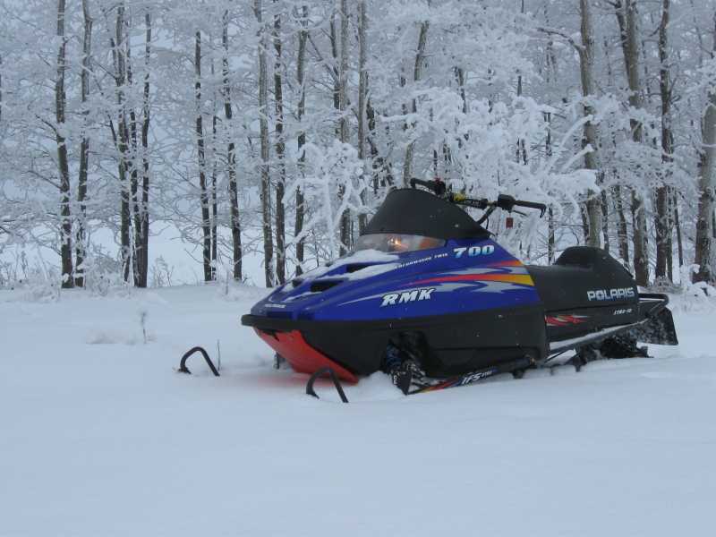 pbpic4424437.jpg