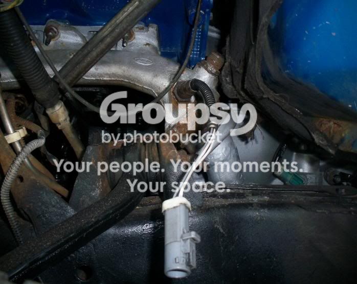 Project OUTRANGEROUS 4.6L Install / Phase 2