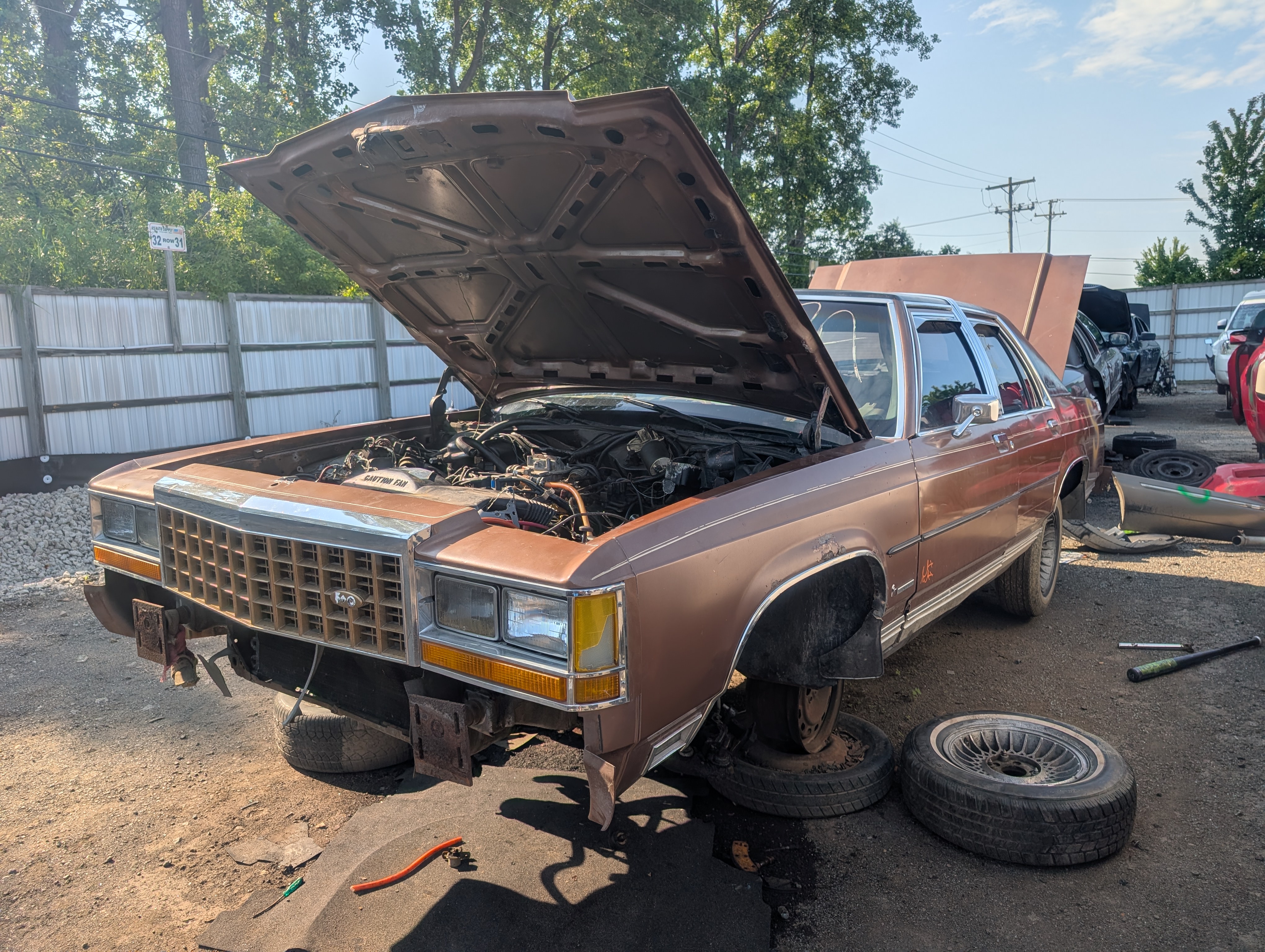 Detroit-area Junkyard Rangers - extremely pic-heavy