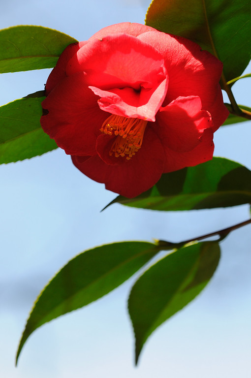 478062800_Cqz9q-XL.jpg