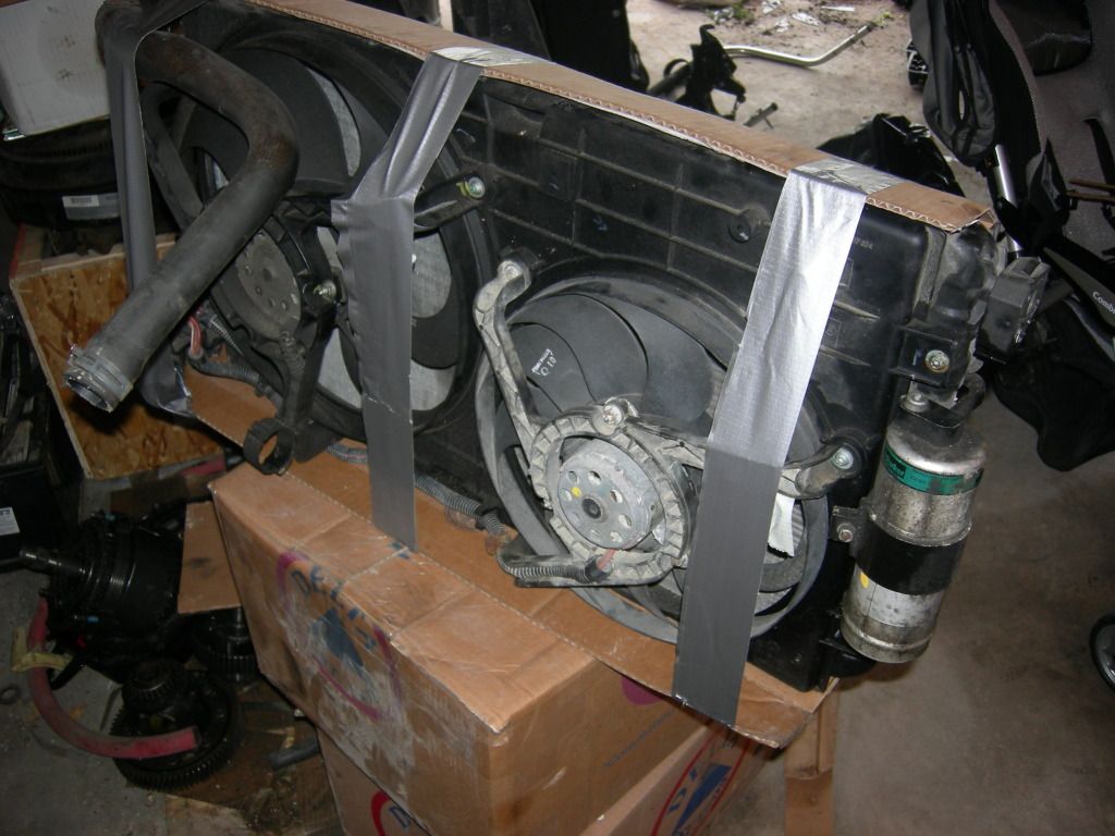 IMG_230.jpg