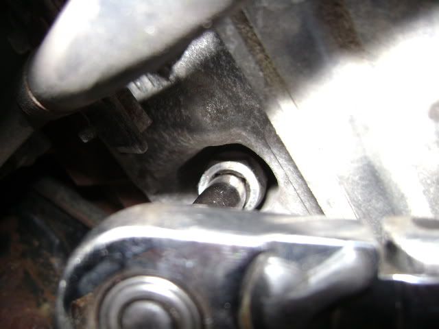 033-1.jpg