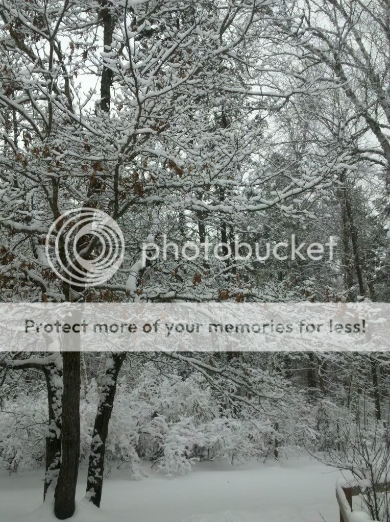 DoorGunner!!!! You ever see this?