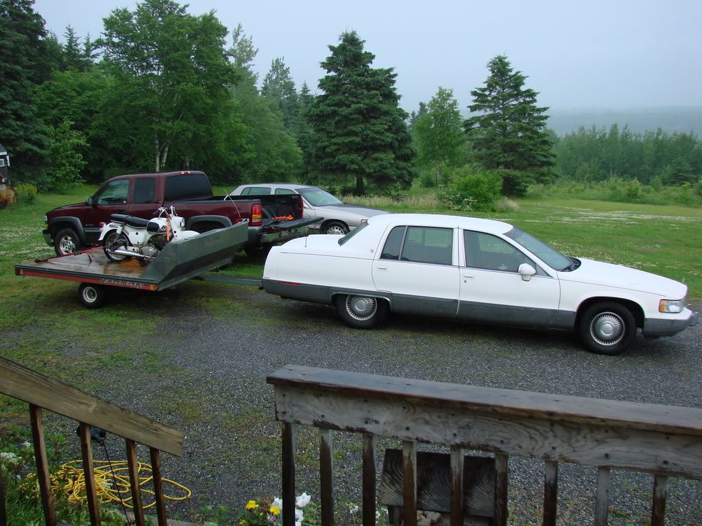 DSC01713.jpg