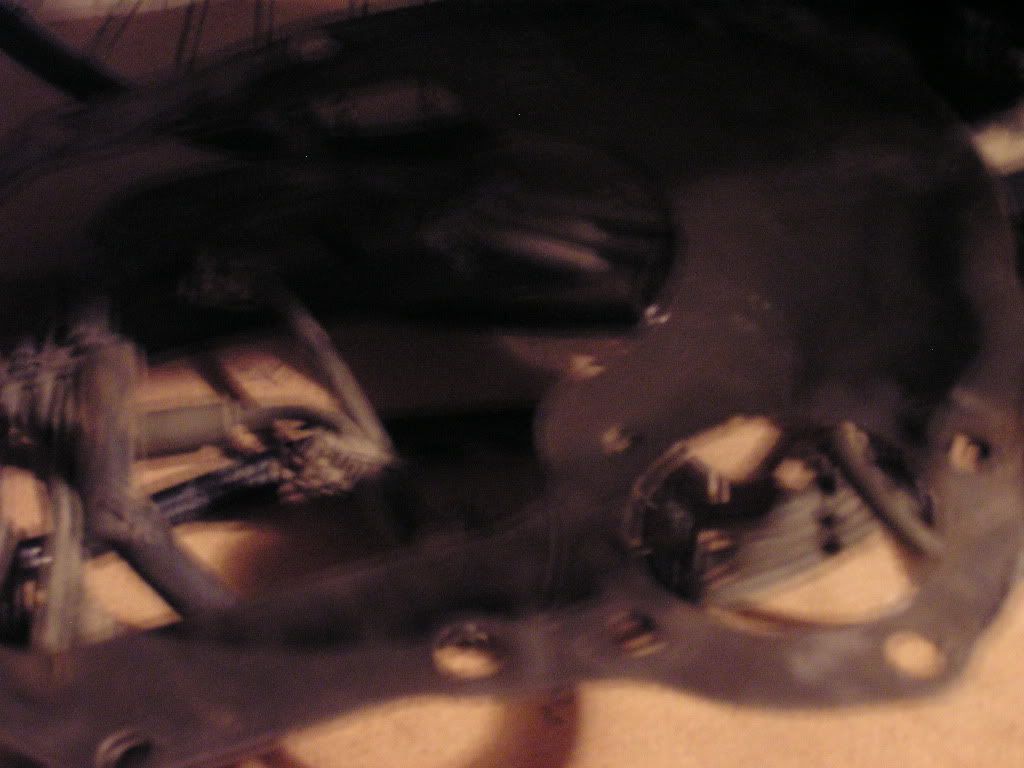 P1010102.jpg