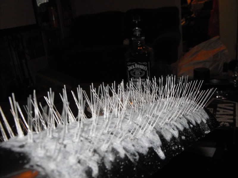 DSCF1343.jpg