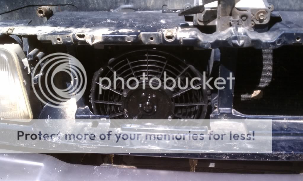 IMAG0236.jpg
