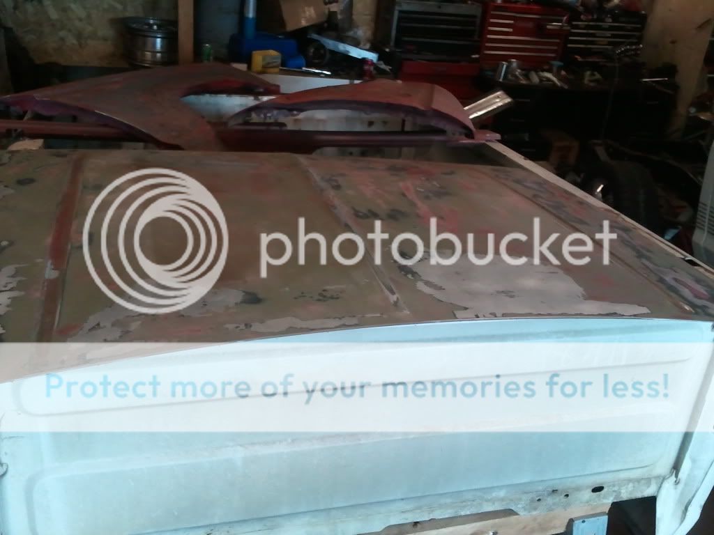 2011-07-09184951.jpg