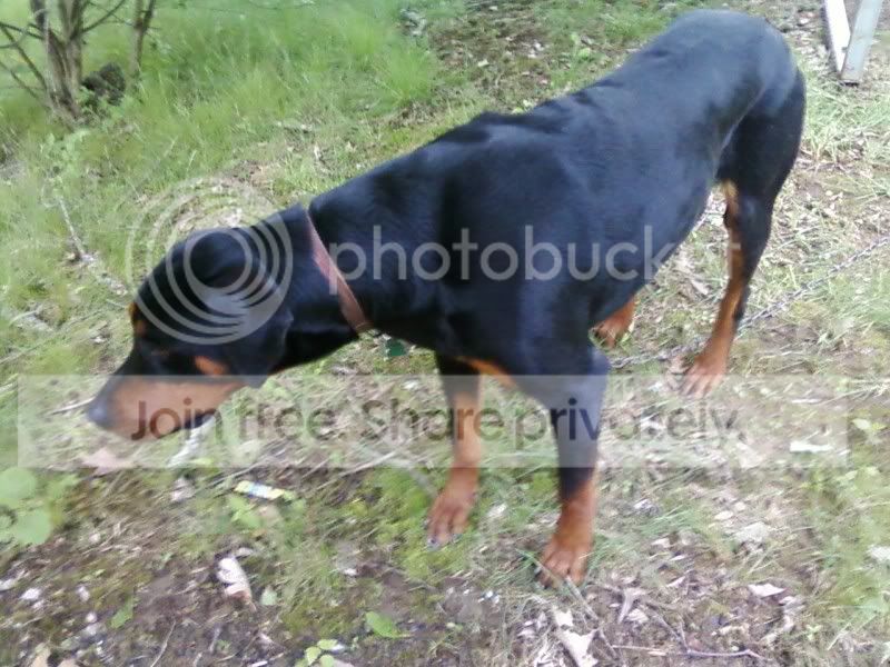 Central Tenn. - North Ala. Wheelin' Dec.12th